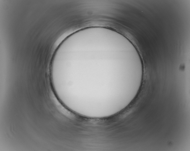 X0000113750803200910211145