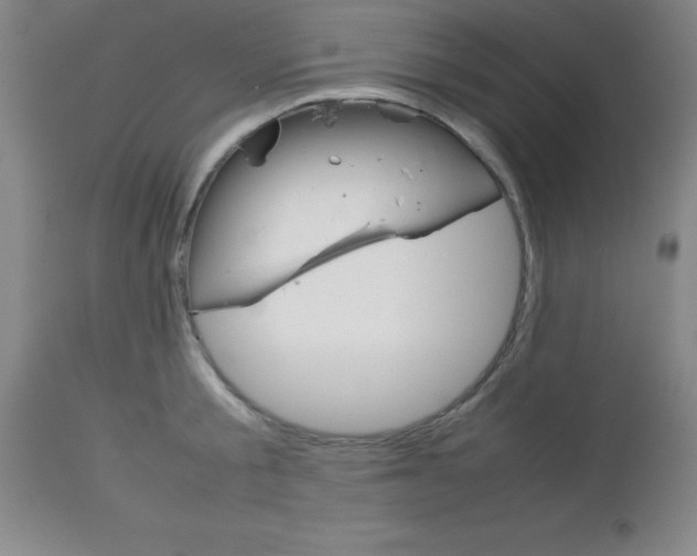 X0000113750805200910211145