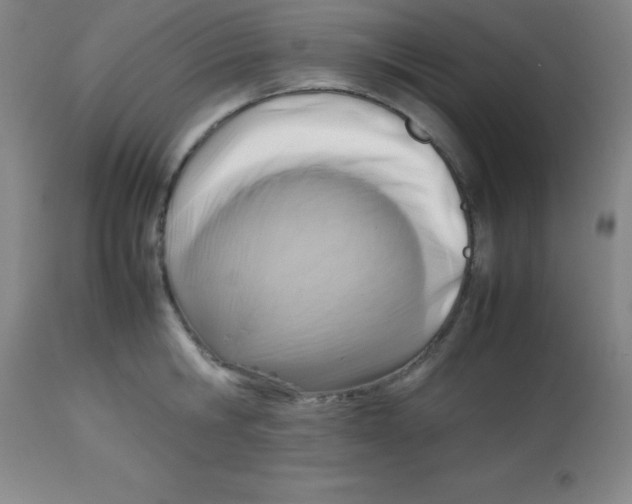 X0000113750806200910211145