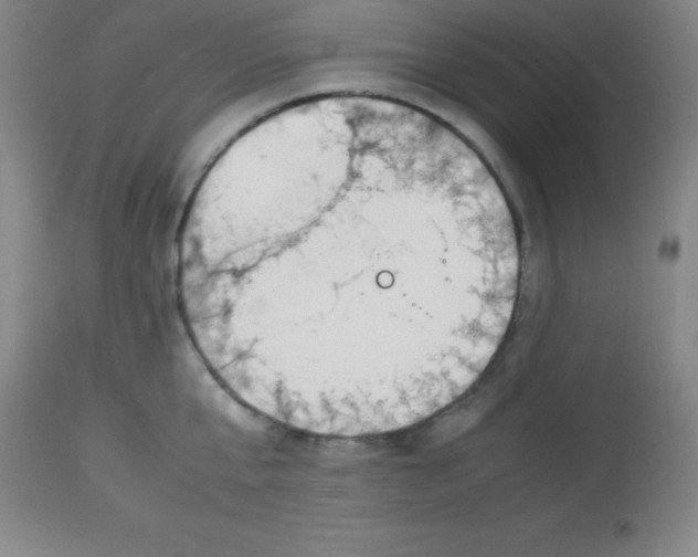 X0000113750807200910211145