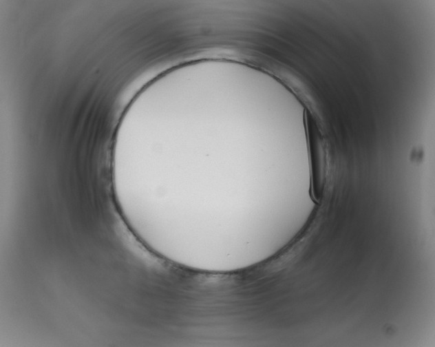 X0000113750808200910211145