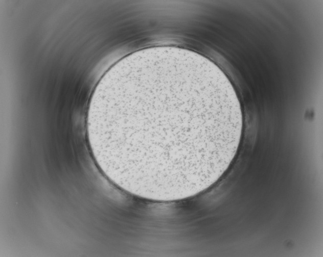 X0000113750810200910211145