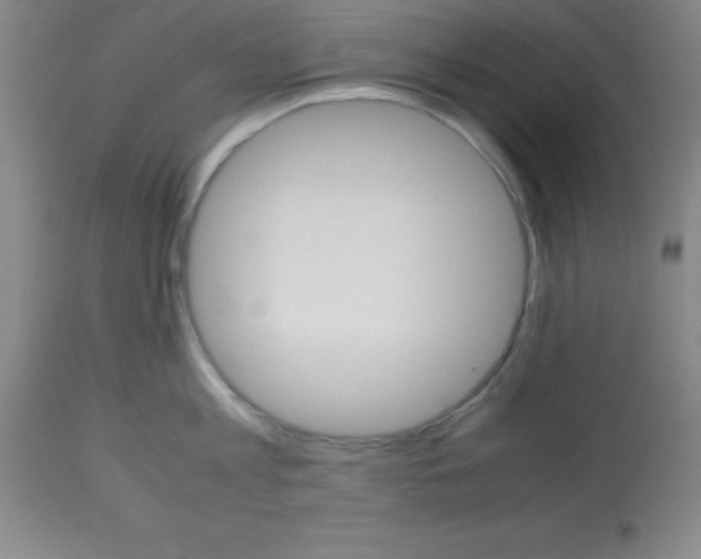 X0000113750813200910211145