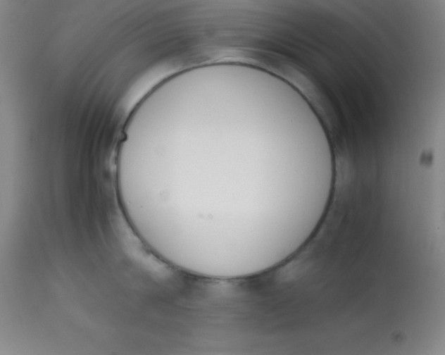 X0000113750814200910211145