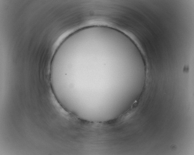 X0000113750815200910211145