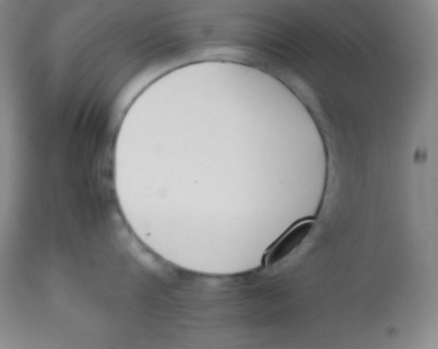 X0000113750816200910211145