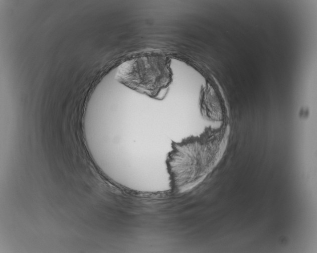 X0000113750817200910211144