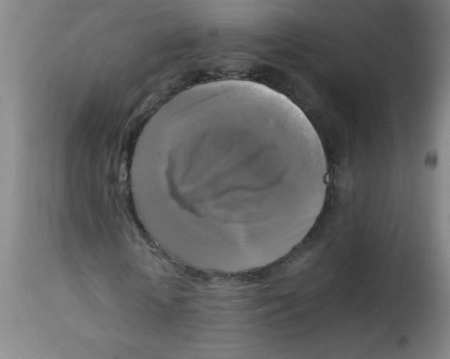 X0000113750818200910211144