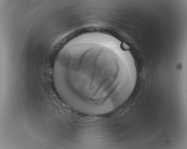 X0000113750822200910211144