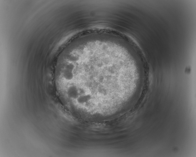 X0000113750823200910211144