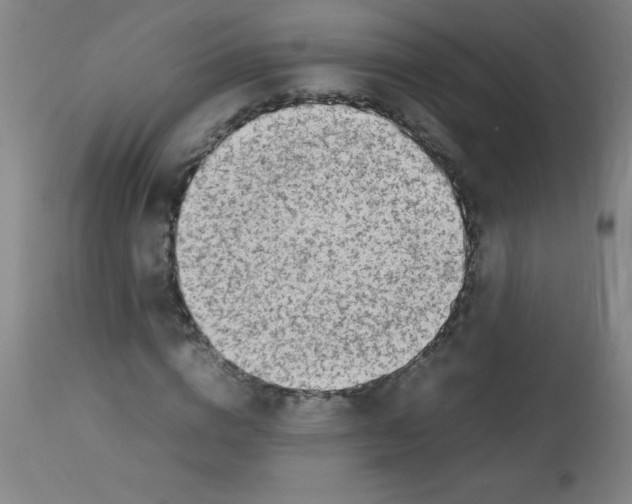 X0000113750824200910211144