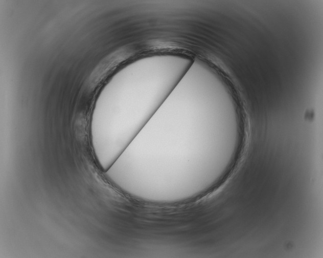 X0000113750825200910211144