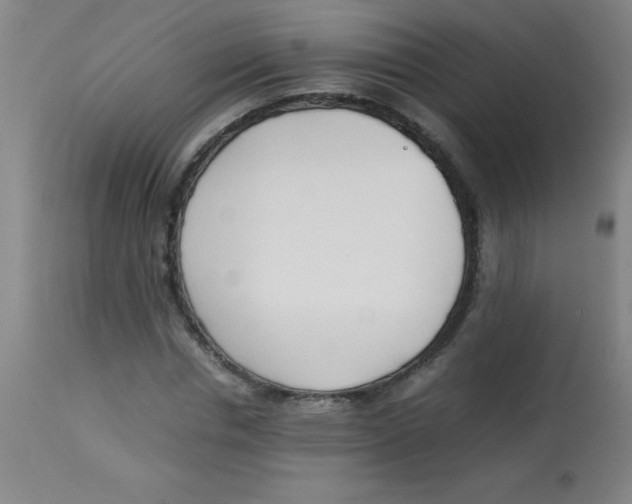 X0000113750826200910211144