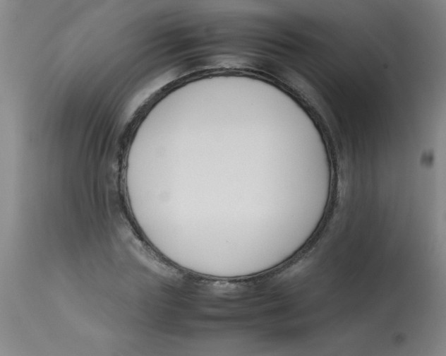 X0000113750827200910211144