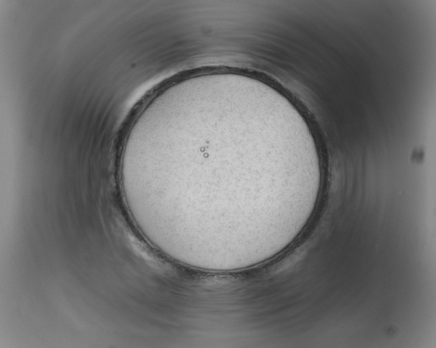 X0000113750830200910211145