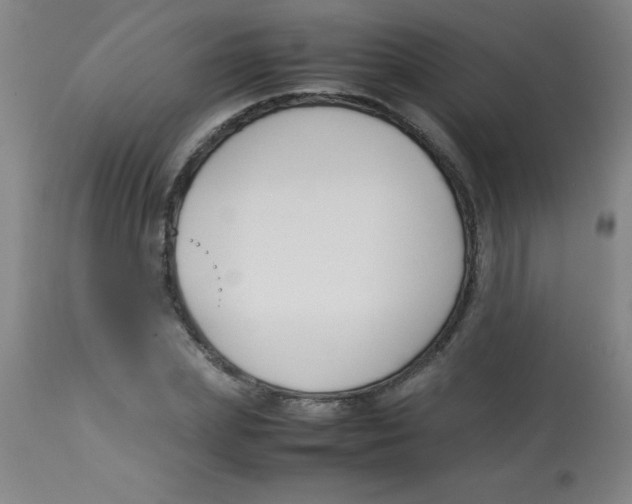 X0000113750831200910211145