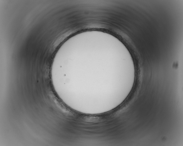 X0000113750833200910211145