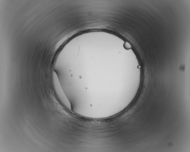 X0000113750834200910211145