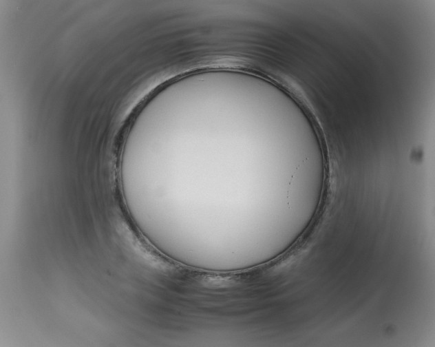 X0000113750835200910211145