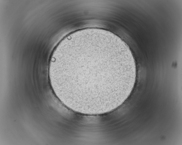 X0000113750836200910211145