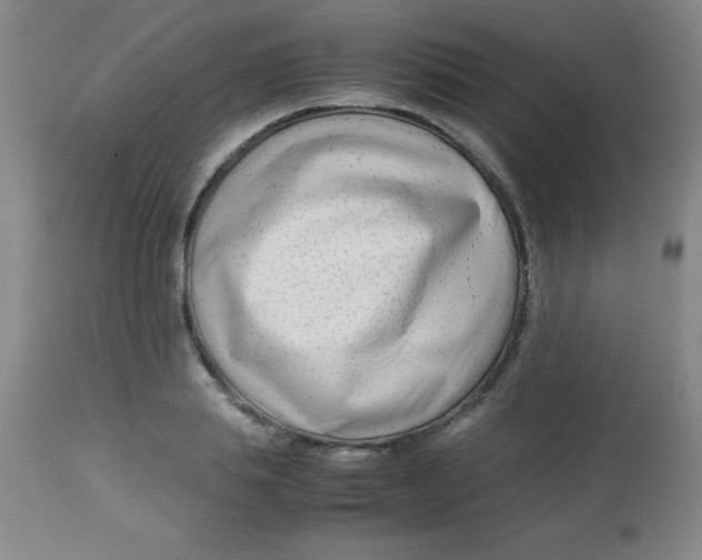 X0000113750839200910211145