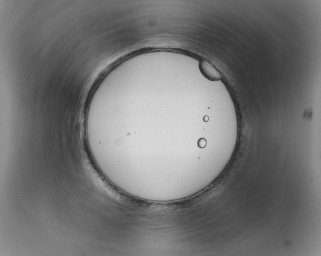 X0000113750840200910211145