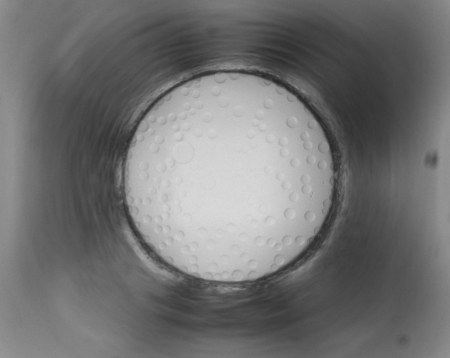 X0000113750841200910211145