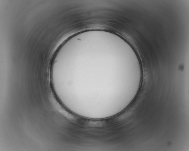 X0000113750843200910211145