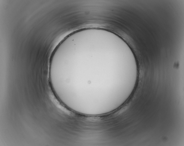 X0000113750844200910211145