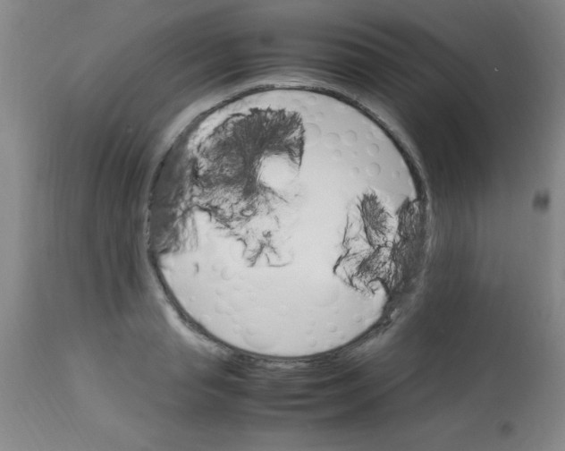 X0000113750845200910211145