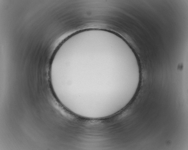 X0000113750846200910211145