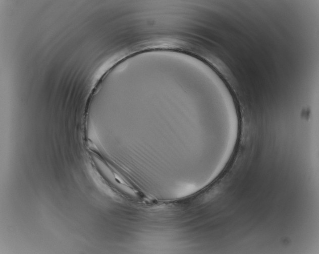 X0000113750850200910211145