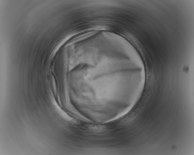 X0000113750851200910211145