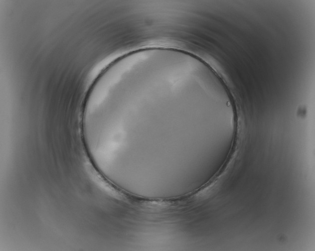 X0000113750854200910211145