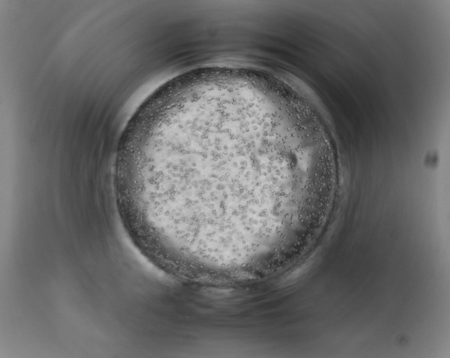 X0000113750855200910211145