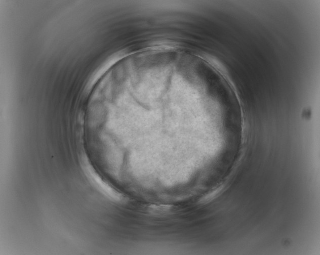 X0000113750859200910211145