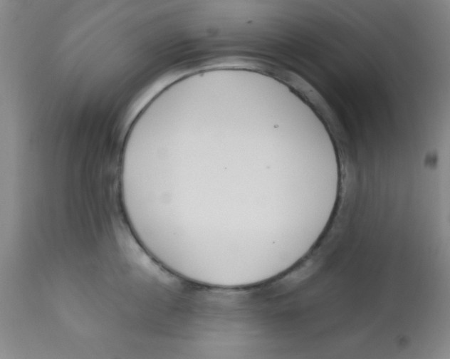 X0000113750860200910211145