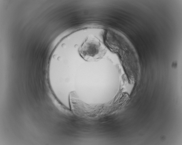 X0000113750861200910211145