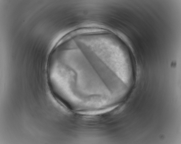 X0000113750863200910211145