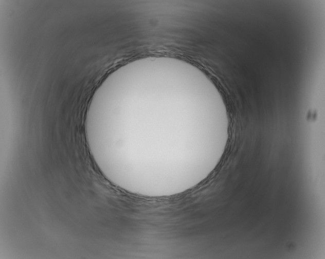 X0000113750865200910211144