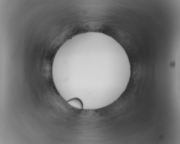 X0000113750866200910211144