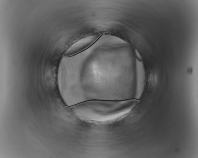 X0000113750868200910211144