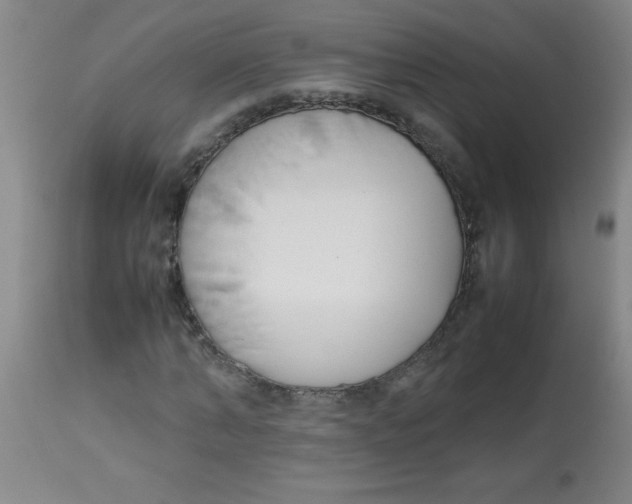 X0000113750870200910211144