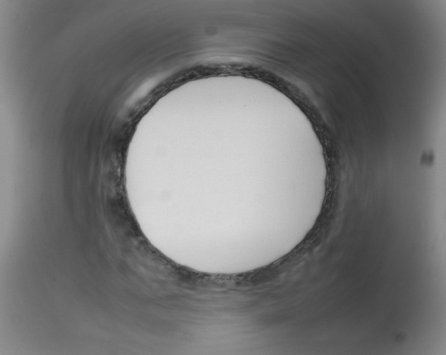 X0000113750871200910211144