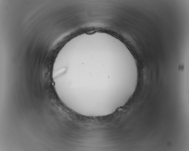 X0000113750872200910211144