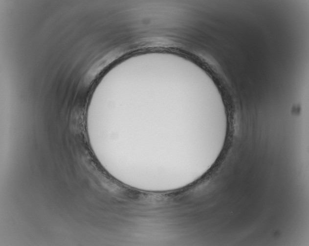 X0000113750873200910211144