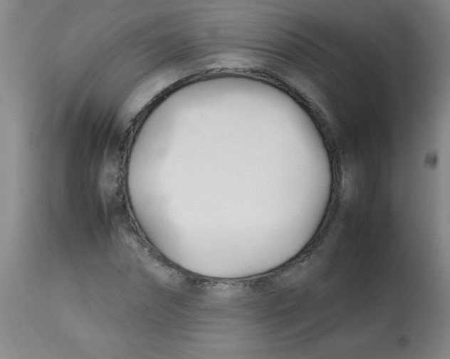 X0000113750874200910211144