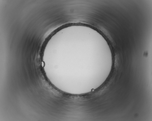 X0000113750876200910211144