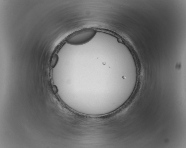 X0000113750877200910211144