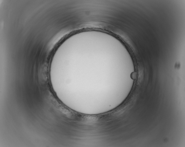 X0000113750878200910211144